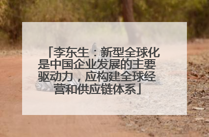 李东生：新型全球化是中国企业发展的主要驱动力，应构建全球经营和供应链体系
