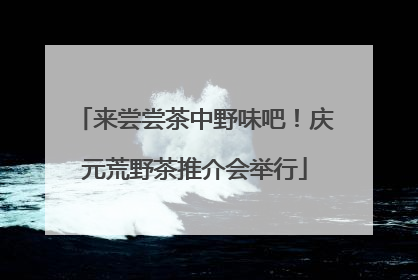 来尝尝茶中野味吧！庆元荒野茶推介会举行