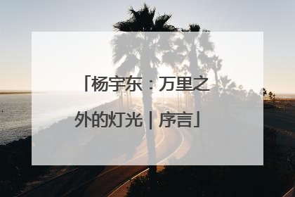 杨宇东：万里之外的灯光｜序言