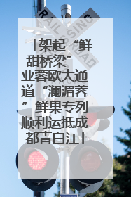 架起“鲜甜桥梁” 亚蓉欧大通道“澜湄蓉”鲜果专列顺利运抵成都青白江