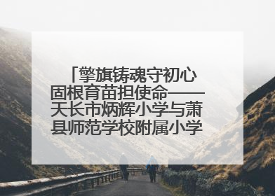 擎旗铸魂守初心 固根育苗担使命——天长市炳辉小学与萧县师范学校附属小学结对共建活动纪实