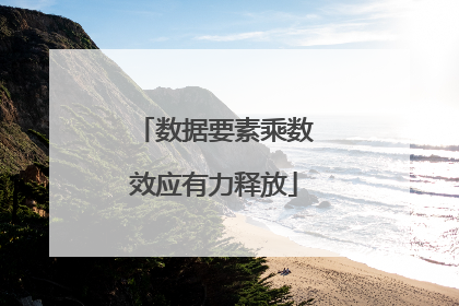 数据要素乘数效应有力释放