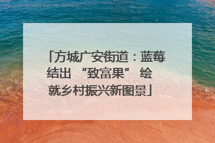 方城广安街道：蓝莓结出 “致富果” 绘就乡村振兴新图景