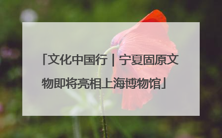文化中国行｜宁夏固原文物即将亮相上海博物馆