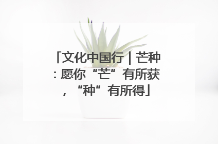 文化中国行｜芒种：愿你“芒”有所获，“种”有所得
