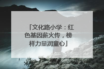 文化路小学：红色基因薪火传，榜样力量润童心