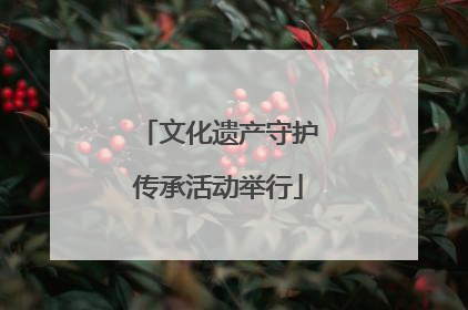 文化遗产守护传承活动举行