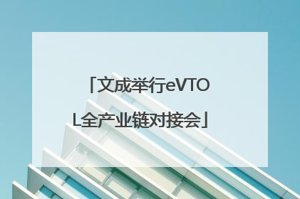 文成举行eVTOL全产业链对接会
