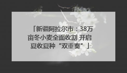 新疆阿拉尔市：38万亩冬小麦全面收割 开启夏收夏种“双重奏”