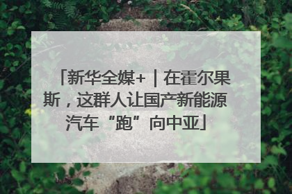 新华全媒+｜在霍尔果斯，这群人让国产新能源汽车“跑”向中亚