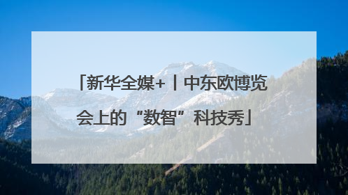 新华全媒+丨中东欧博览会上的“数智”科技秀