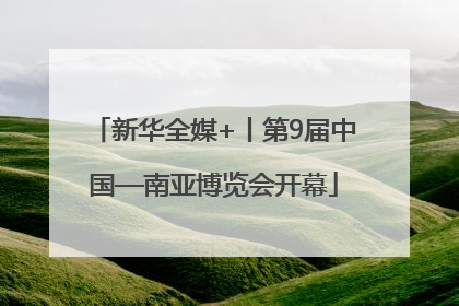 新华全媒+丨第9届中国—南亚博览会开幕