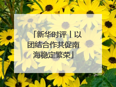 新华时评丨以团结合作共促南海稳定繁荣