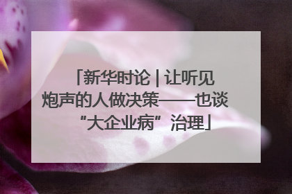 新华时论 | 让听见炮声的人做决策——也谈“大企业病”治理