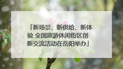 新场景、新供给、新体验 全国旅游休闲街区创新交流活动在岳阳举办