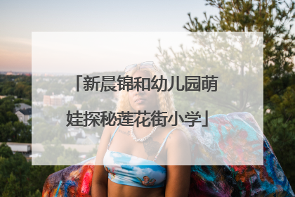新晨锦和幼儿园萌娃探秘莲花街小学