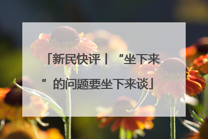 新民快评丨“坐下来”的问题要坐下来谈