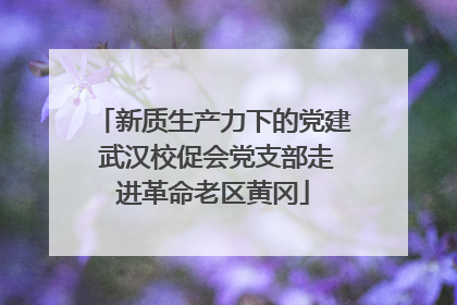 新质生产力下的党建 武汉校促会党支部走进革命老区黄冈