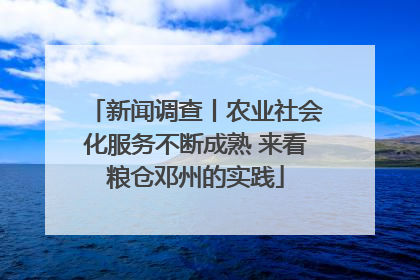 新闻调查丨农业社会化服务不断成熟 来看粮仓邓州的实践