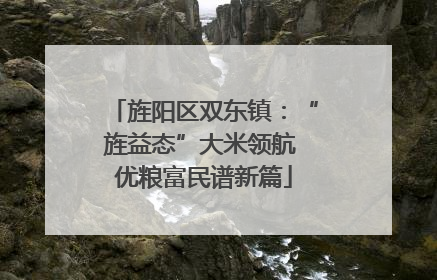 旌阳区双东镇：“旌益态”大米领航 优粮富民谱新篇