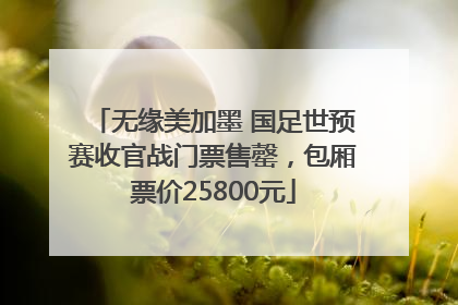 无缘美加墨 国足世预赛收官战门票售罄，包厢票价25800元
