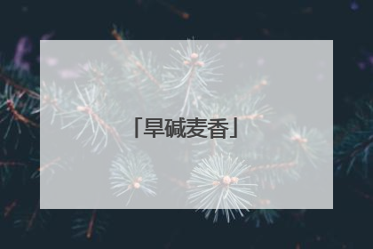 旱碱麦香