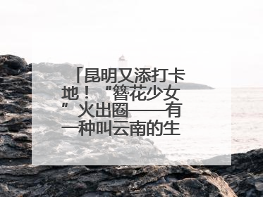 昆明又添打卡地！“簪花少女”火出圈——有一种叫云南的生活之365天