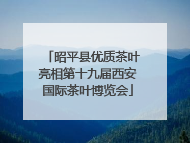 昭平县优质茶叶亮相第十九届西安国际茶叶博览会