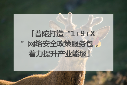 普陀打造“1+9+X”网络安全政策服务包，着力提升产业能级