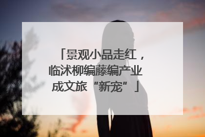 景观小品走红，临沭柳编藤编产业成文旅“新宠”