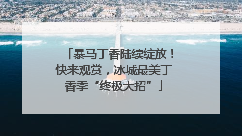 暴马丁香陆续绽放！快来观赏，冰城最美丁香季“终极大招”