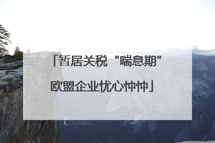 暂居关税“喘息期” 欧盟企业忧心忡忡