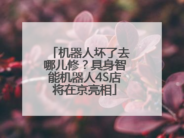 机器人坏了去哪儿修？具身智能机器人4S店将在京亮相