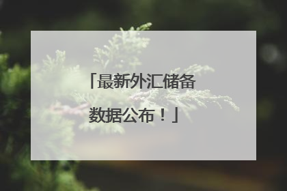 最新外汇储备数据公布！