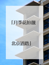 月季花扮靓北京道路