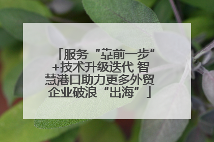 服务“靠前一步”+技术升级迭代 智慧港口助力更多外贸企业破浪“出海”