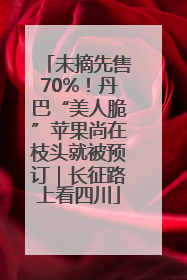 未摘先售70%！丹巴“美人脆”苹果尚在枝头就被预订｜长征路上看四川