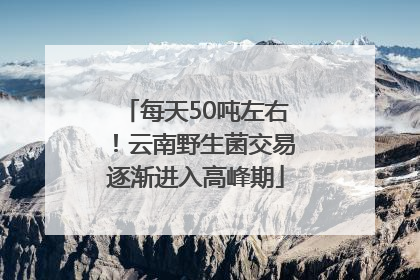 每天50吨左右！云南野生菌交易逐渐进入高峰期