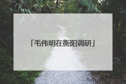 毛伟明在衡阳调研