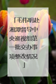 毛伟明赴湘潭督导中央巡视组第一批交办事项整改情况