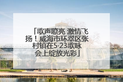 歌声嘹亮 激情飞扬！威海市环翠区张村镇在5·23歌咏会上绽放光彩