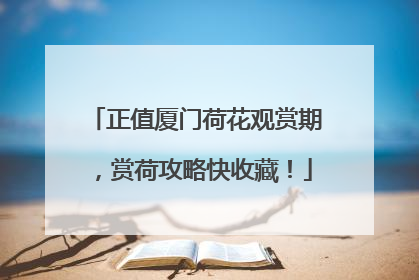 正值厦门荷花观赏期，赏荷攻略快收藏！