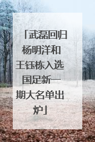 武磊回归 杨明洋和王钰栋入选 国足新一期大名单出炉