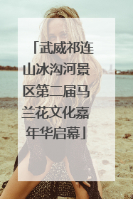 武威祁连山冰沟河景区第二届马兰花文化嘉年华启幕