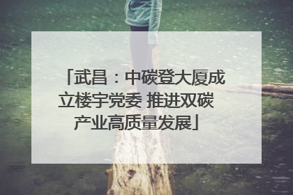 武昌：中碳登大厦成立楼宇党委 推进双碳产业高质量发展