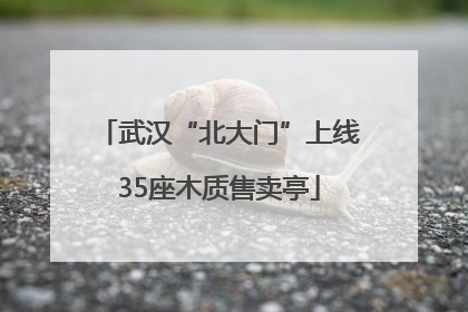 武汉“北大门”上线35座木质售卖亭