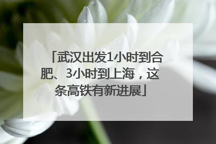 武汉出发1小时到合肥、3小时到上海，这条高铁有新进展