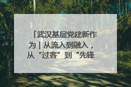武汉基层党建新作为｜从流入到融入，从“过客”到“先锋” 武汉为流动党员筑起温暖之家