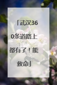 武汉360条道路上都有了！能救命