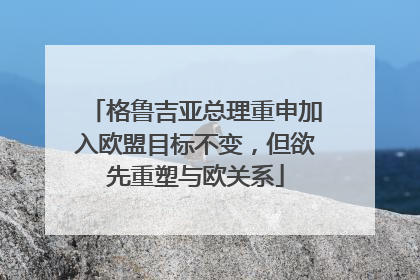 格鲁吉亚总理重申加入欧盟目标不变，但欲先重塑与欧关系